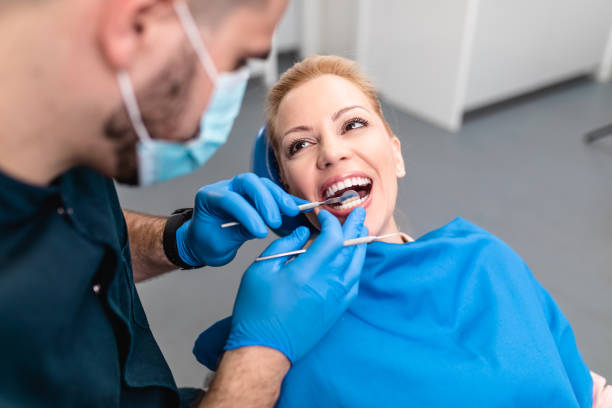 Trusted Deer Park, IL  Holistic Dental Services Experts